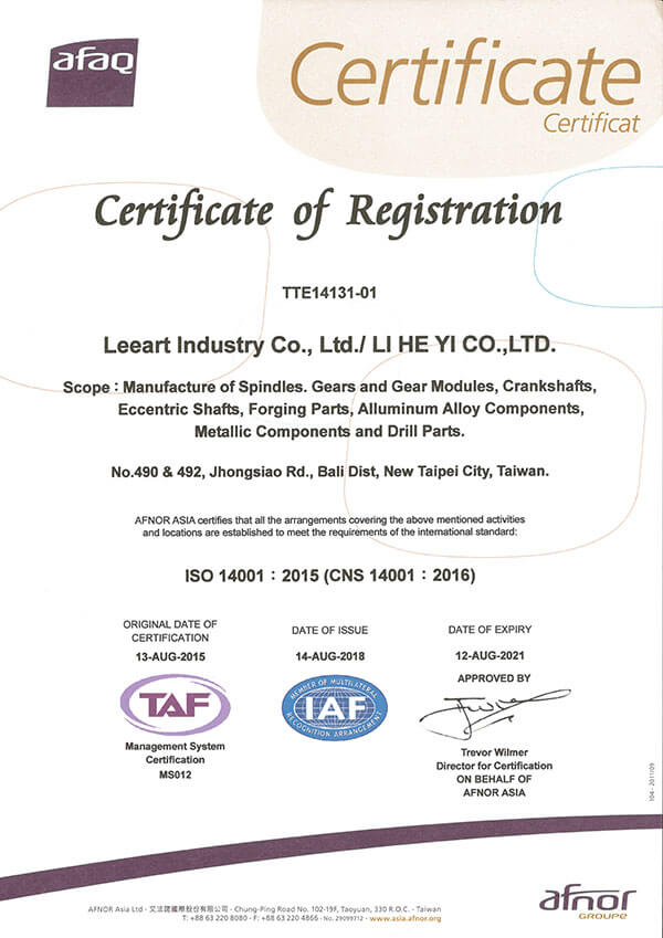 ISO 14001 Certification of Leeart